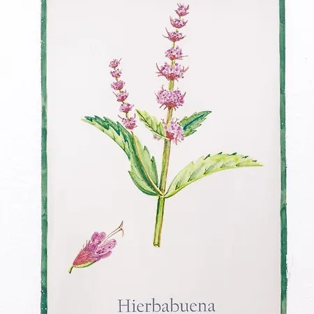 Arte De Cozina Antequera