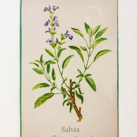 מלון Arte De Cozina אנטקרה