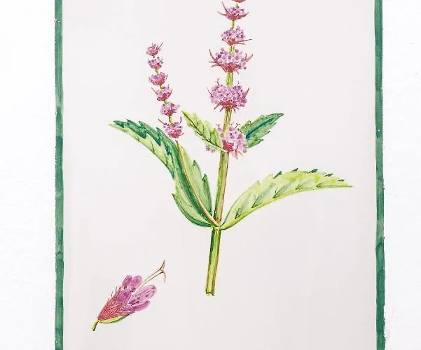 Arte De Cozina Antequera