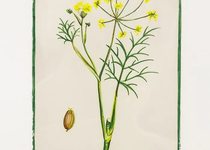 Arte De Cozina Antequera